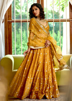 Mastaani Golden Nakshi Lehenga: A Regal Marvel
