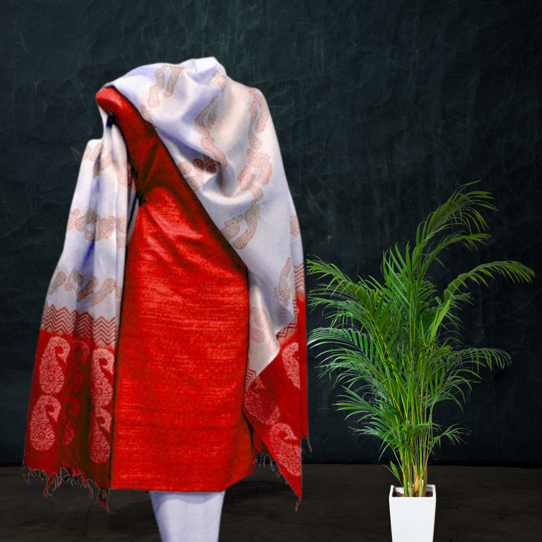 Block Printed Tussar Silk Suit - Red