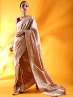 Beige Kataan Silk Saree with Beautiful Butterfly Motifs