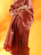 Red Banarasi Silk Saree in Tanchoi Weave