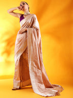 Beige Kataan Silk Saree with Beautiful Butterfly Motifs